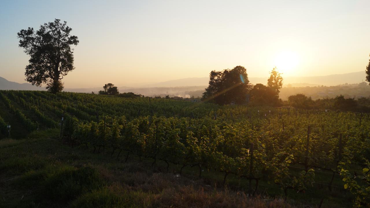 Aythaya Monte Divino Lodge Taunggyi Dış mekan fotoğraf